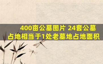 400亩公墓图片 24套公墓占地相当于1处老墓地占地面积